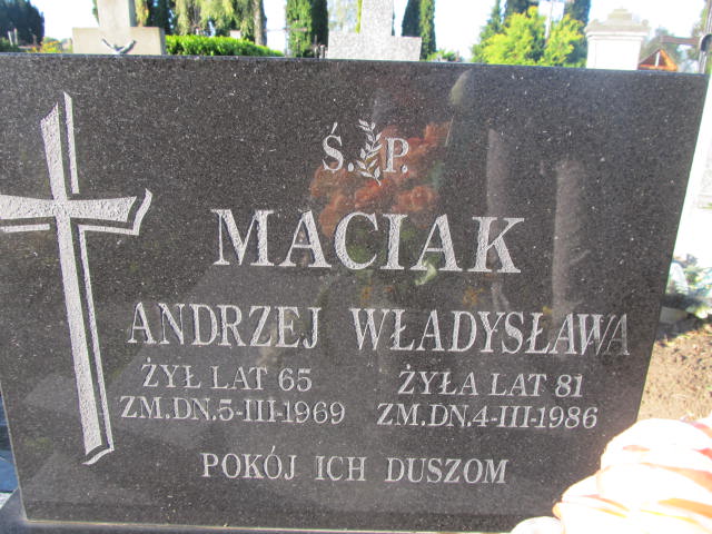 Andrzej Maciak Kurów - Grobonet - Wyszukiwarka osób pochowanych