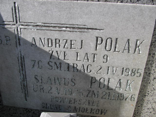 Andrzej Polak Kurów - Grobonet - Wyszukiwarka osób pochowanych