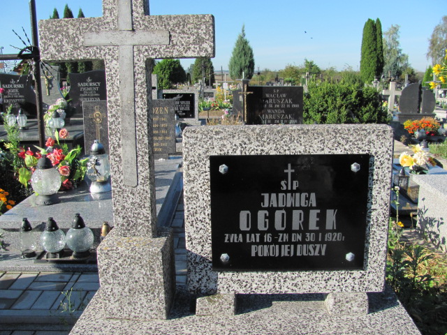 Jadwiga Ogorek Kurów - Grobonet - Wyszukiwarka osób pochowanych