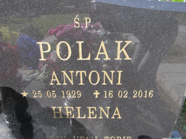 Antoni Polak 1929 Kurów - Grobonet - Wyszukiwarka osób pochowanych