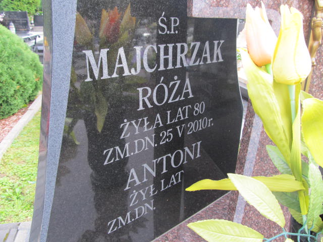 Róża Majchrzak Kurów - Grobonet - Wyszukiwarka osób pochowanych